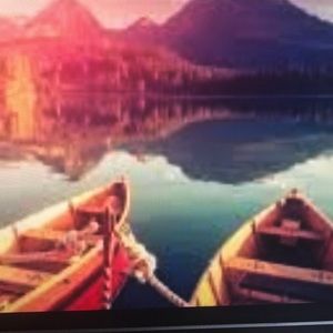 Meet your Posher, Betsy